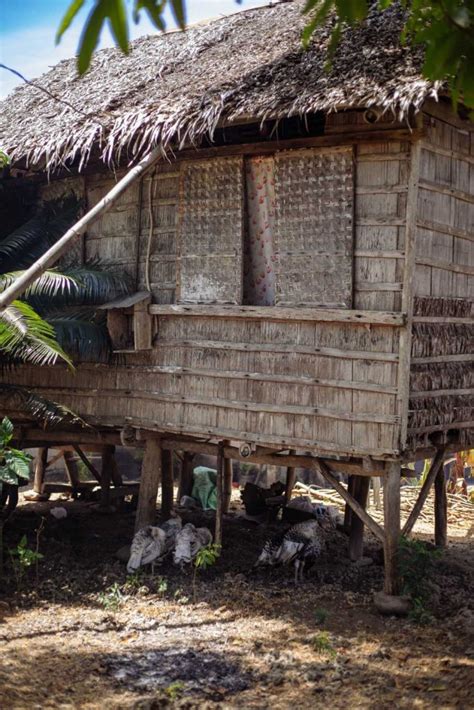 pinay cattel|Kantutan Sa Bahay Kubo .